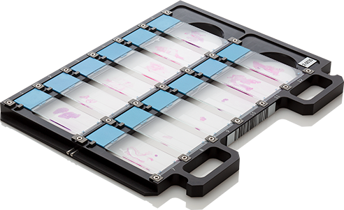 Slide Holder - 12 slides