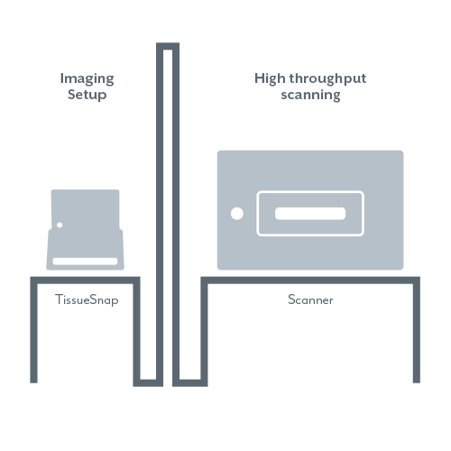 TissueSnap Imaging Setup